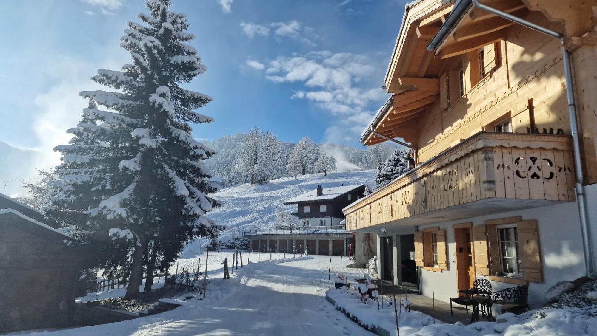 Large Deluxe Studio For 2 - Chalet Lovo Lenk im Simmental Extérieur photo