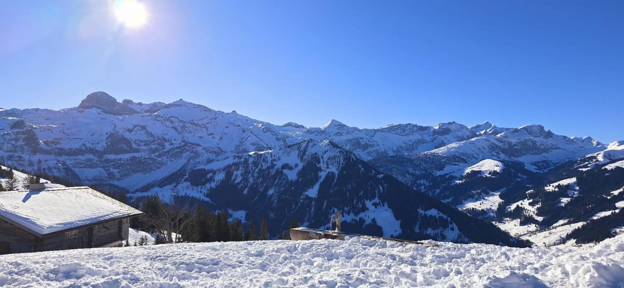 Large Deluxe Studio For 2 - Chalet Lovo Lenk im Simmental Extérieur photo