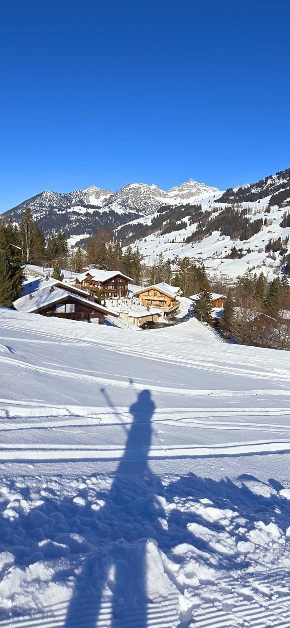 Large Deluxe Studio For 2 - Chalet Lovo Lenk im Simmental Extérieur photo