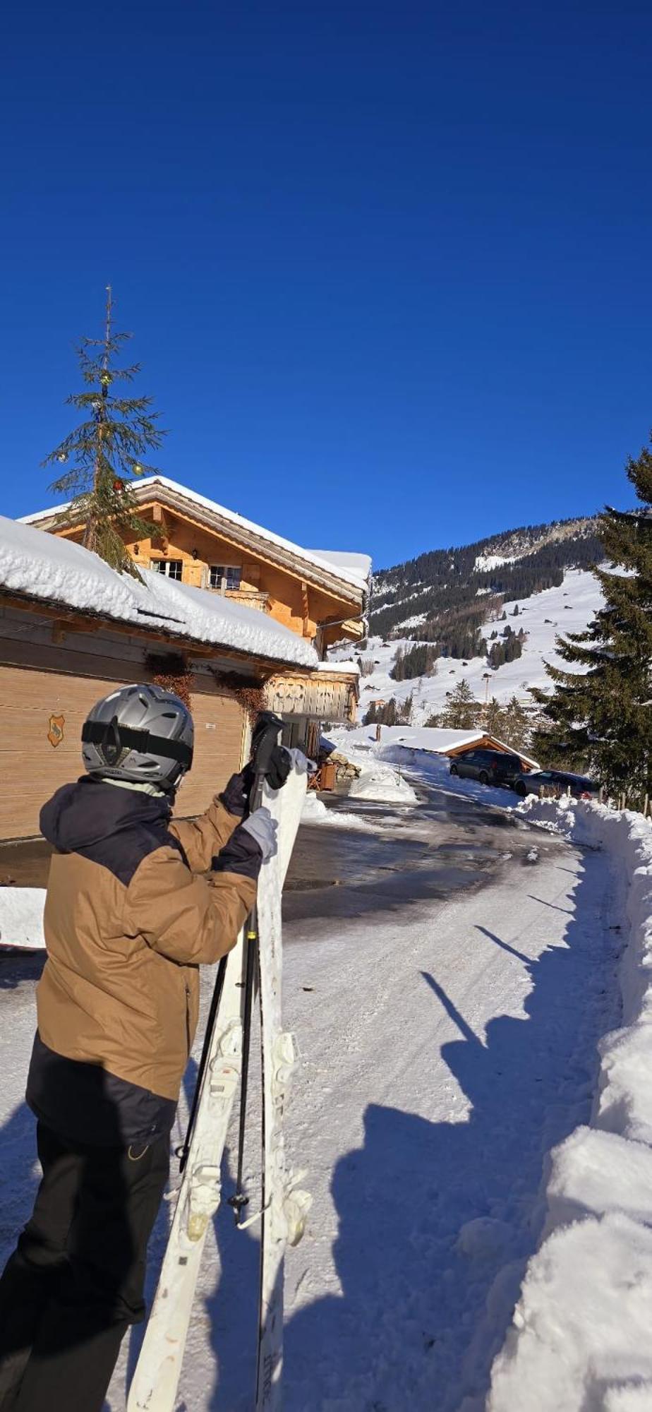 Large Deluxe Studio For 2 - Chalet Lovo Lenk im Simmental Extérieur photo